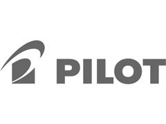 Pilot