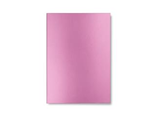 CARAN D'ACHE Carnet de notes COLORMAT-X, A5, ligné, rose