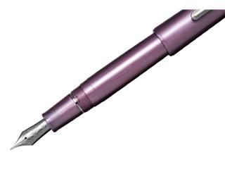 Luxury Fountain Pen, 89